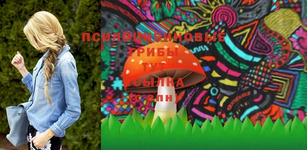 хмурый Зеленокумск